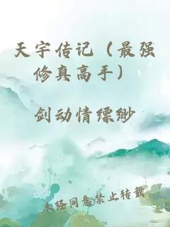 天宇傳記（最強(qiáng)修真高手）